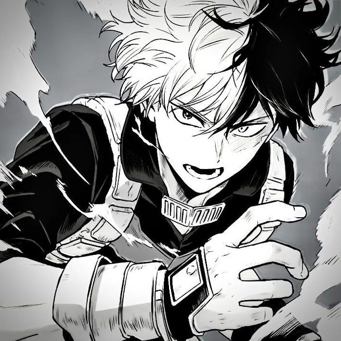 Todoroki black and white profile picture high contrast