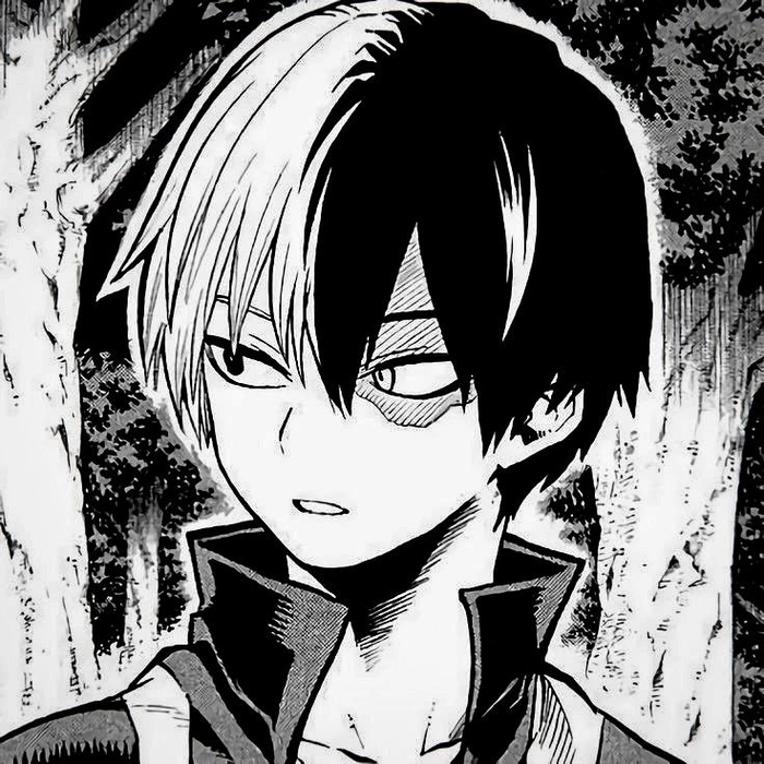Monochrome Todoroki PFP timeless minimalist aesthetic