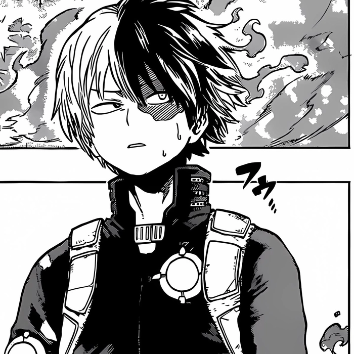 Black and white Shoto Todoroki avatar sophisticated look