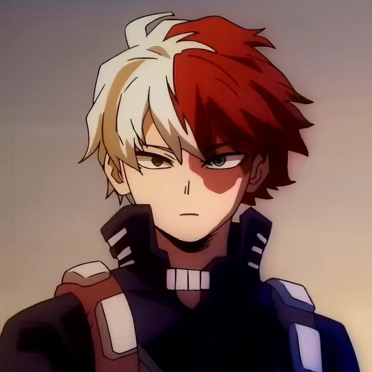Todoroki GIF avatar Discord animation frame