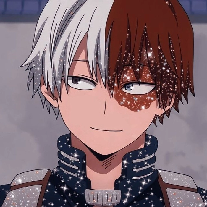 Glitter animated Todoroki profile picture TikTok style