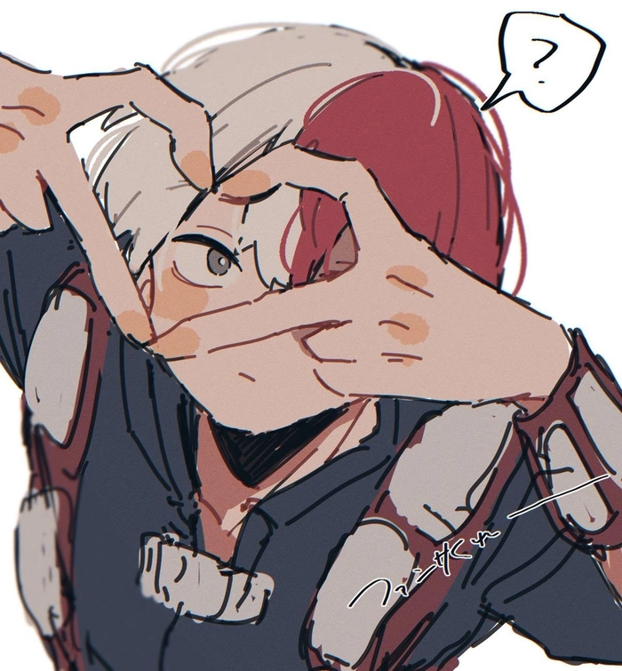 Creative Shoto Todoroki profile picture idea with filter