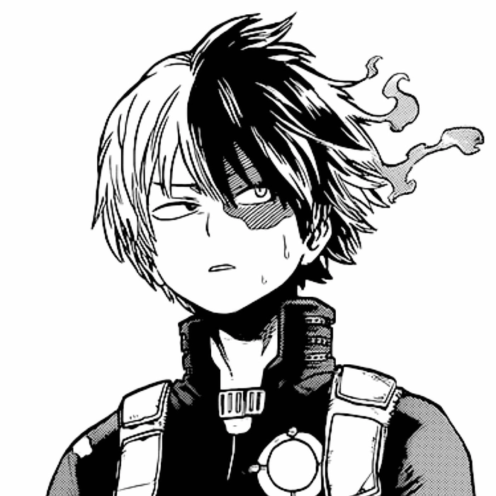 Todoroki manga panel profile picture high contrast