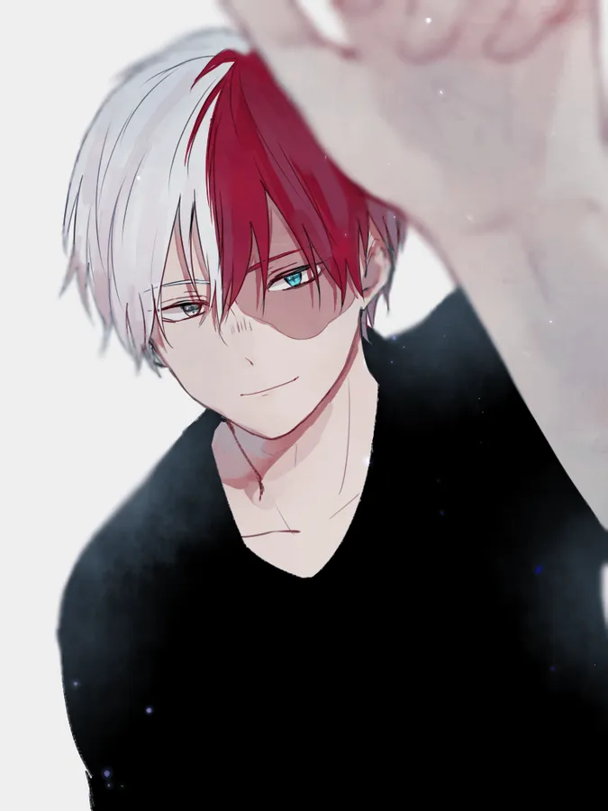 Shoto Todoroki MHA manga style PFP dramatic shadows