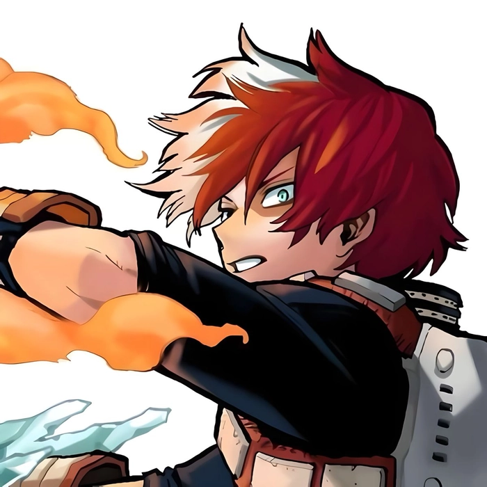 Curated Todoroki Pinterest aesthetic profile picture