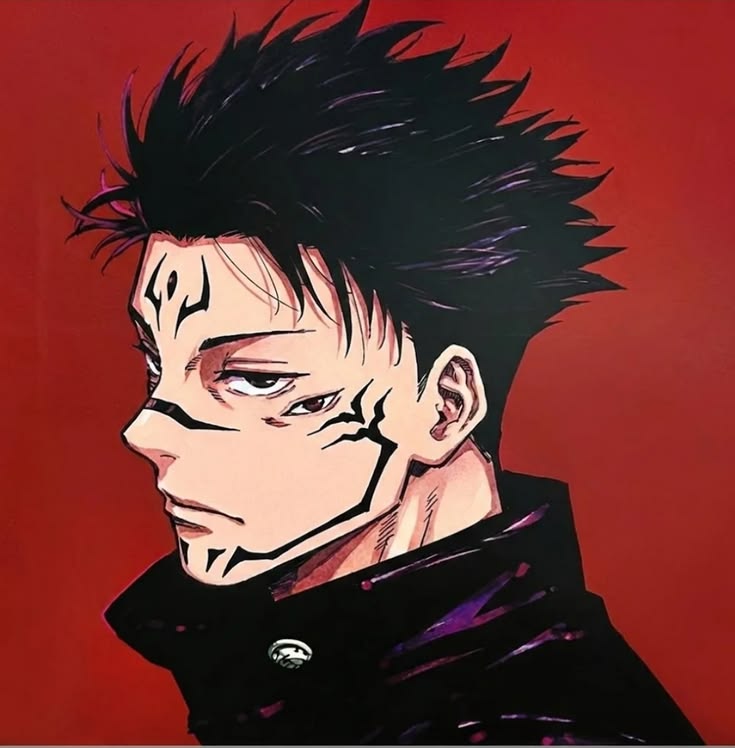 Sukuna in Megumi body manga PFP with high contrast transformation panel