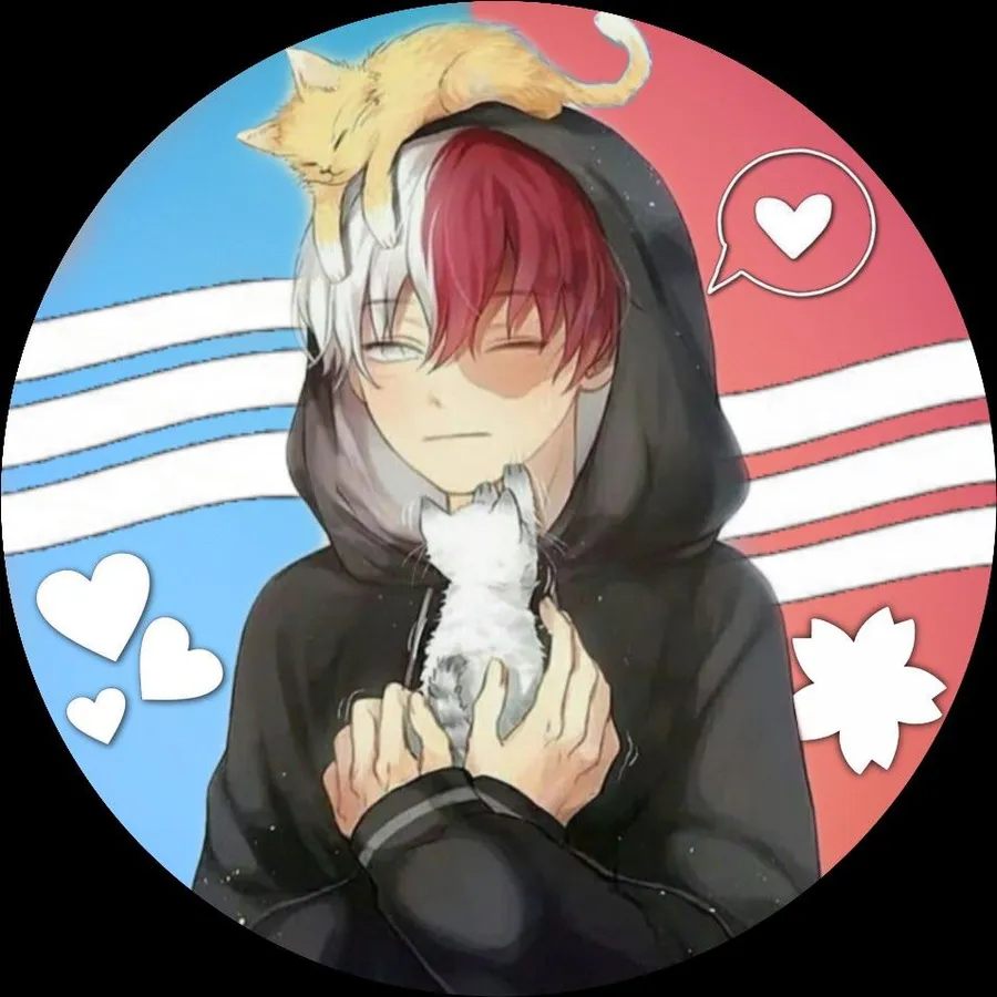 Shoto Todoroki full body MHA picture with background