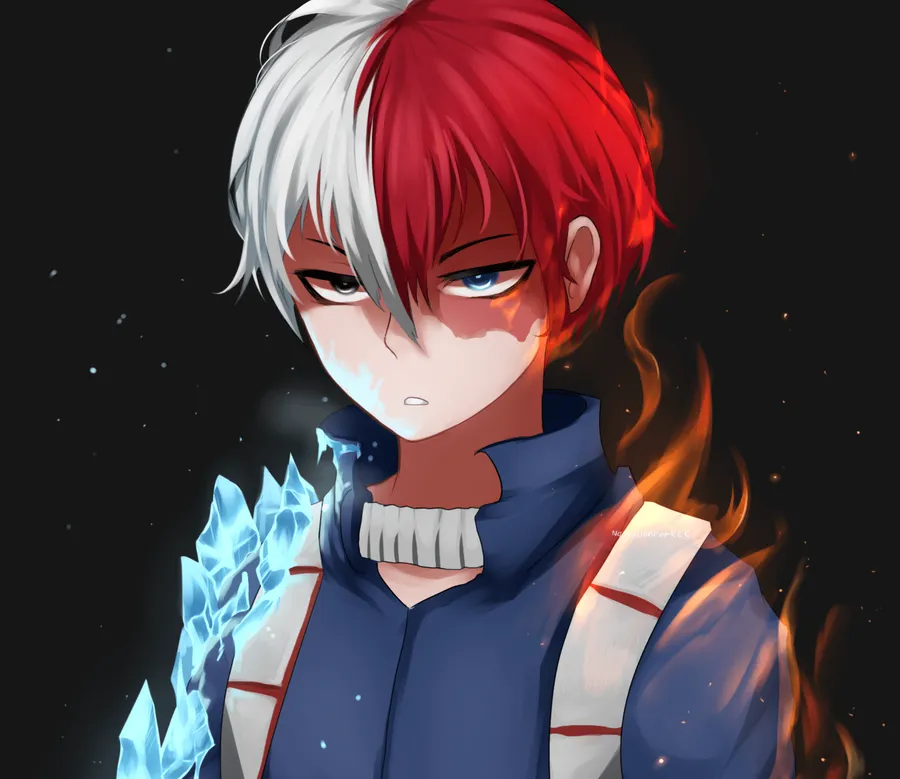 Full body Todoroki anime picture action style