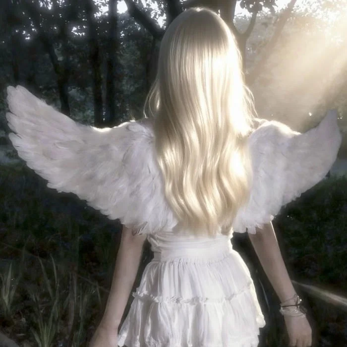 Angel Aesthetic PFP