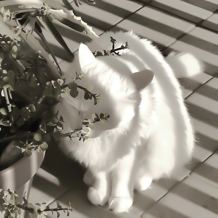 Aesthetic white cat PFP with sleepy pose and gentle candid natural lighting