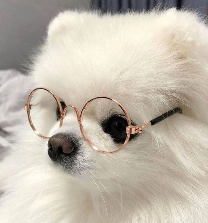 Cute white aesthetic PFP with plush animal and sparkle accent on pale background