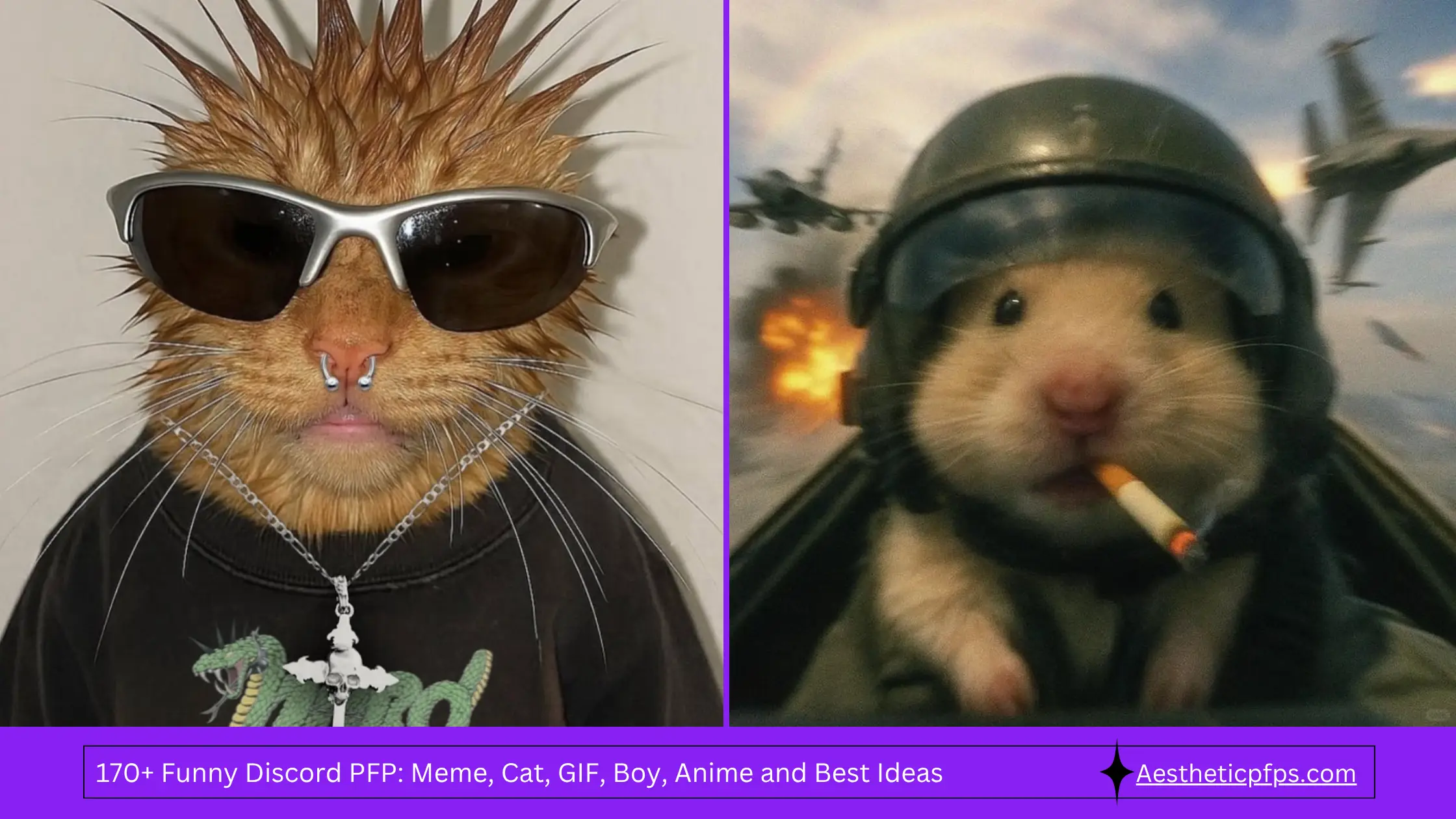 170+ Funny Discord PFP Meme, Cat, GIF, Boy, Anime and Best Ideas