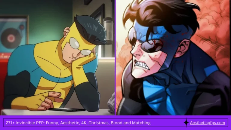 271+ Invincible PFP Funny, Aesthetic, 4K, Christmas, Blood and Matching