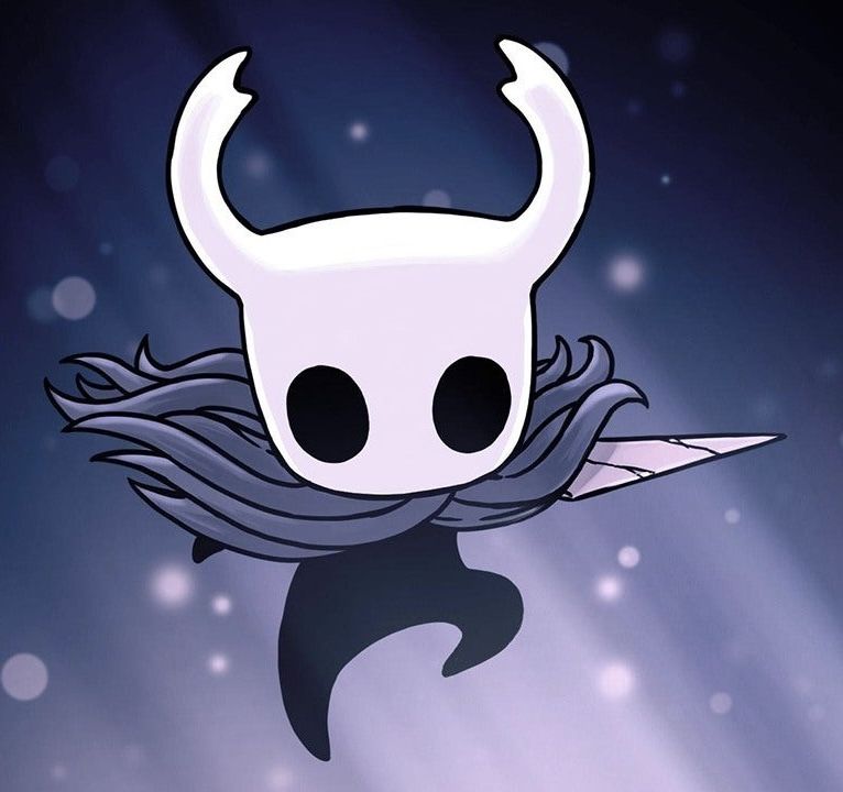 Hollow Knight cool profile picture sleek