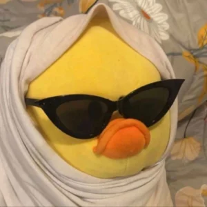 Cute funny profile picture for WhatsApp and group chats