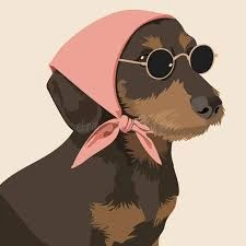 Dog funny profile picture neutral background big reaction