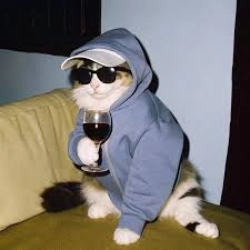 Funny profile picture with text caption overlay