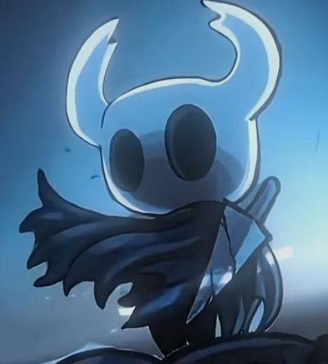 Animated Hollow Knight PFP looping