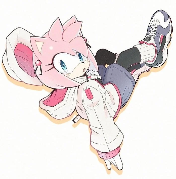 Amy Rose IDW PFP aesthetic profile picture