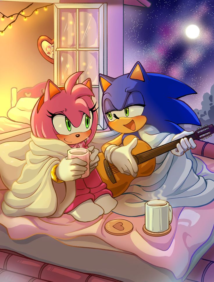 Amy Rose and Sonic duo PFP for fandom profiles