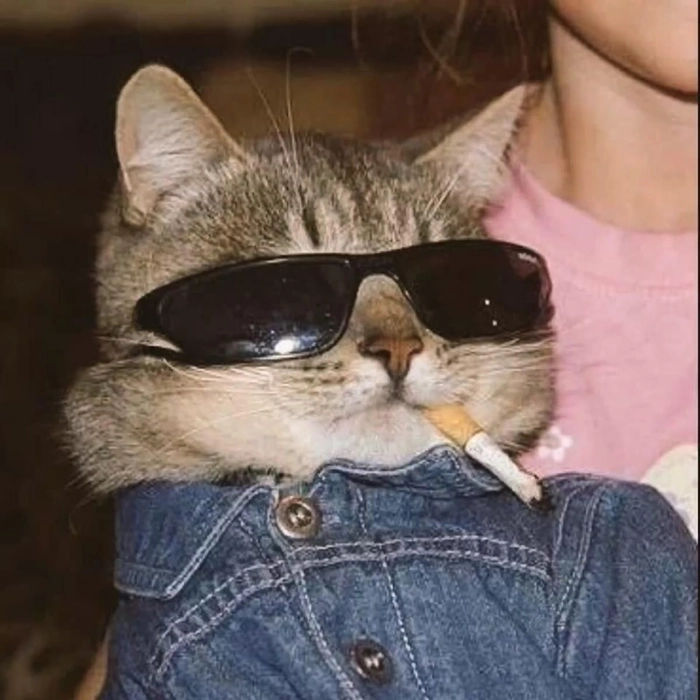 Aesthetic cat smoking PFP with subtle shadows and meme-style framing