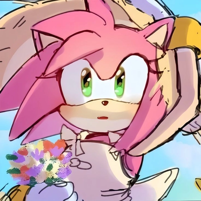 Classic Amy Rose PFP retro Sonic game design