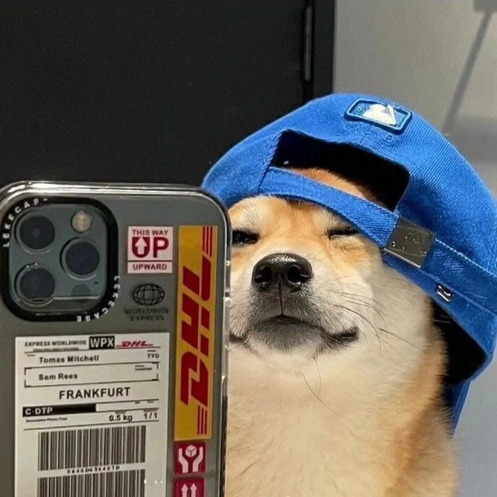 Gen Z aesthetic PFP for Discord with soft irony and color harmony