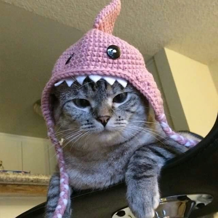 Reddit-style ironic Discord PFP with understated humor