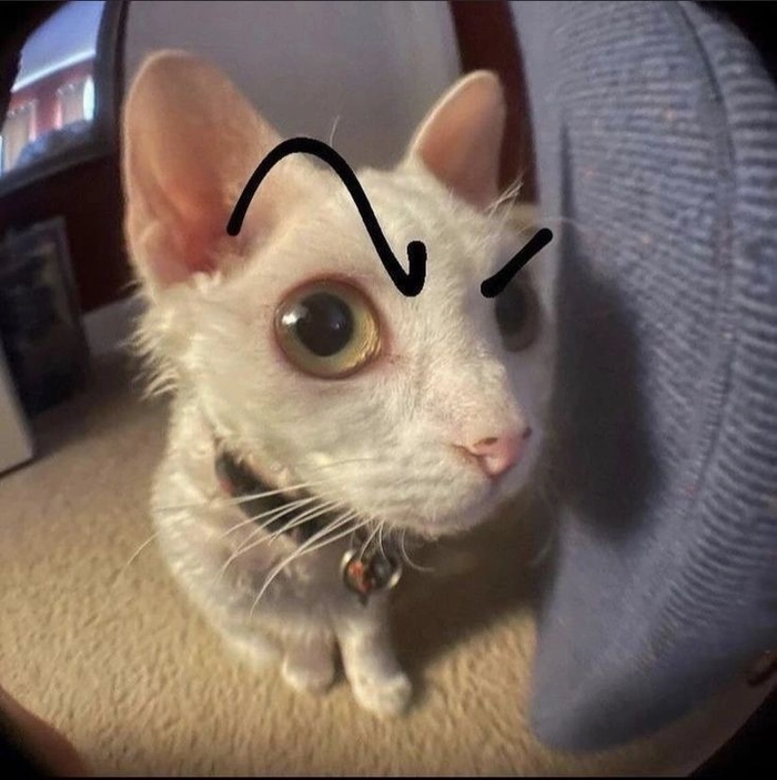 Dry humor Discord avatar with muted palette inspired by Reddit culture