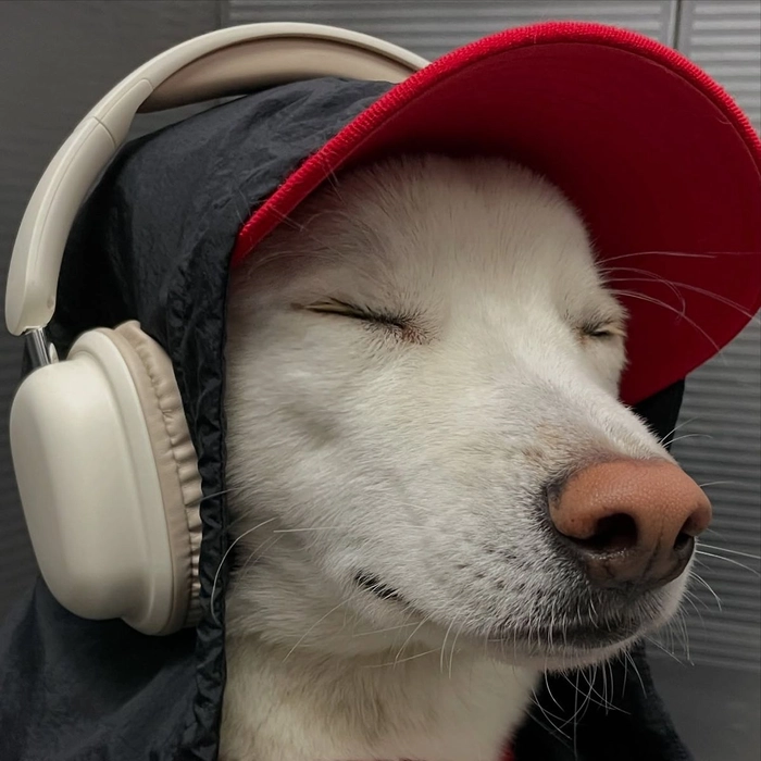 Viral meme face Discord PFP with sharp crop