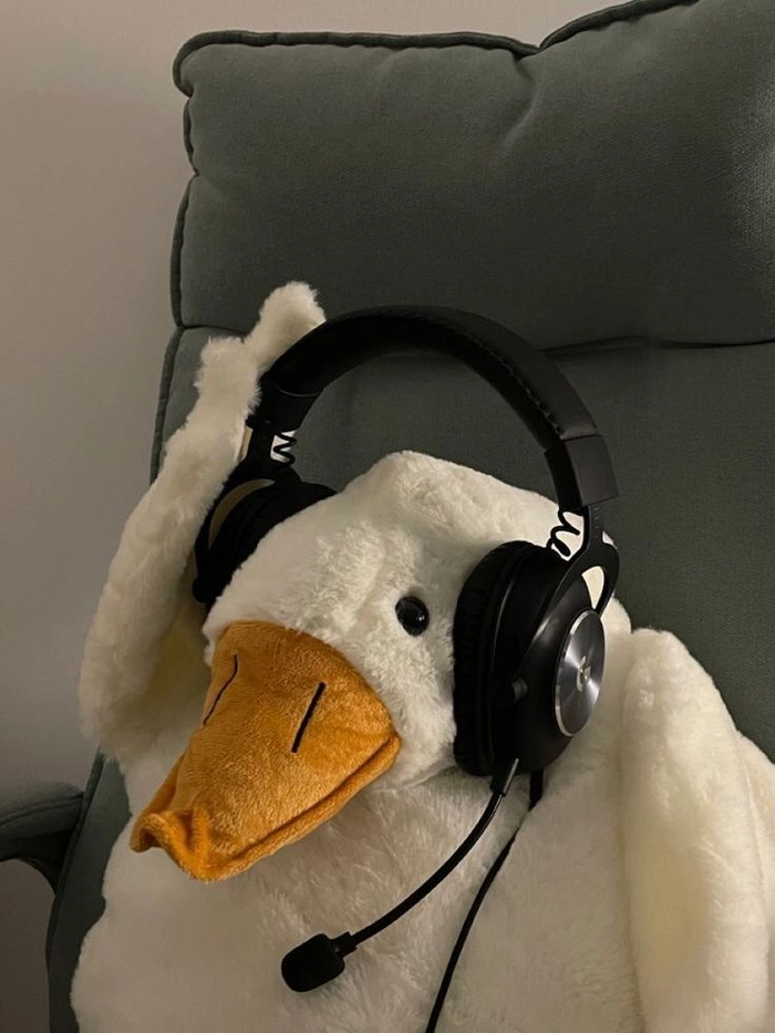 Free funny profile picture for Instagram