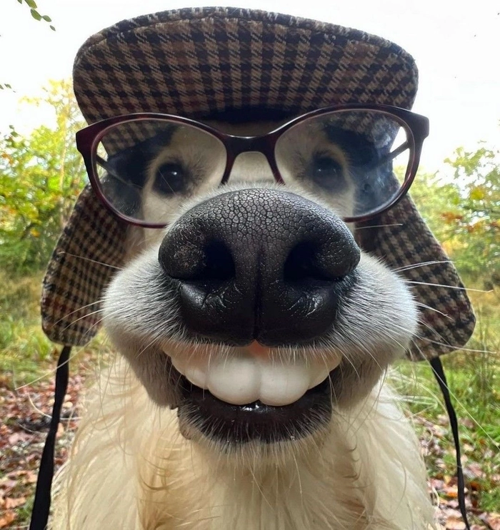 Pinterest funny profile picture ideas with nostalgic cartoons and surreal meme edits