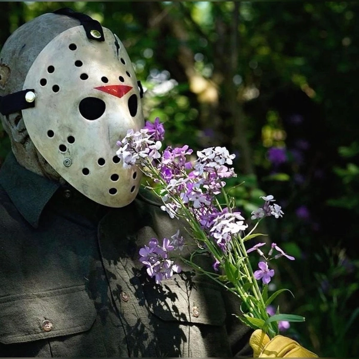 Jason Voorhees PFP aesthetic film grain VHS retro overlay