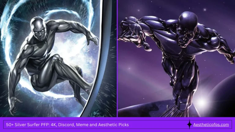 50+ Silver Surfer PFP 4K, Discord, Meme and Aesthetic Picks