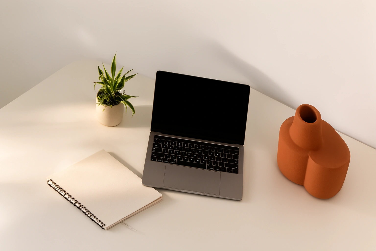 Decluttered minimalist desk with warm colored accents and a single plant